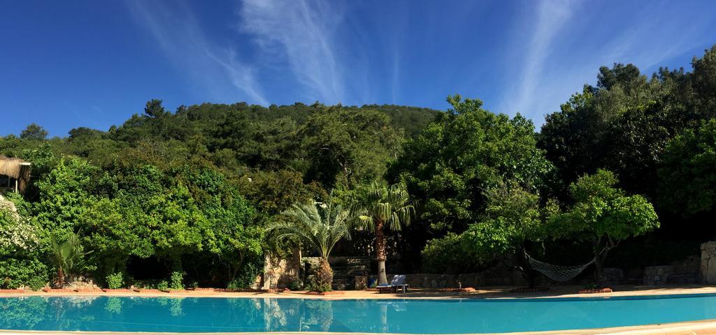 Paradise Garden Hotel 厄吕代尼兹 外观 照片