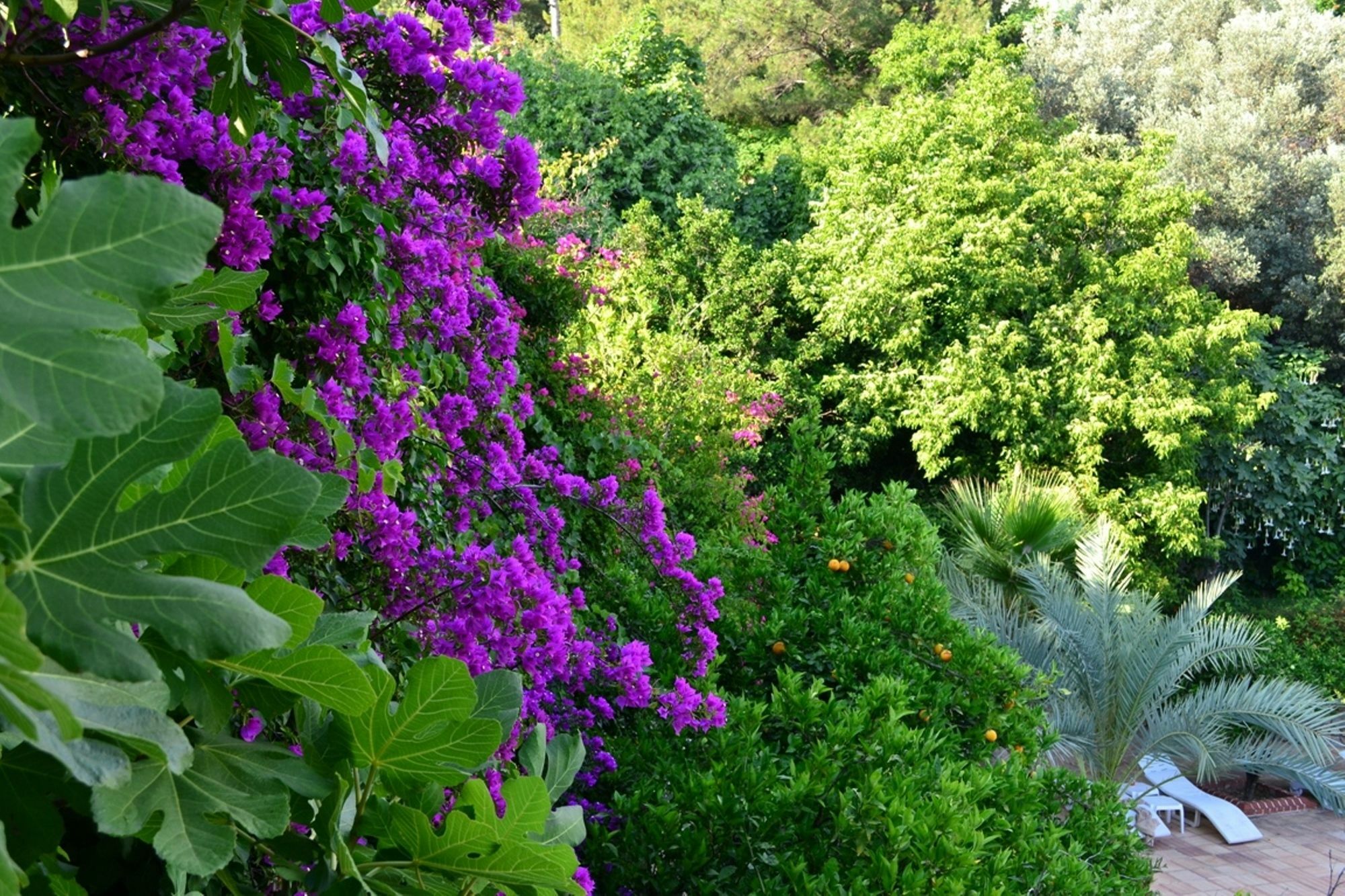 Paradise Garden Hotel 厄吕代尼兹 外观 照片
